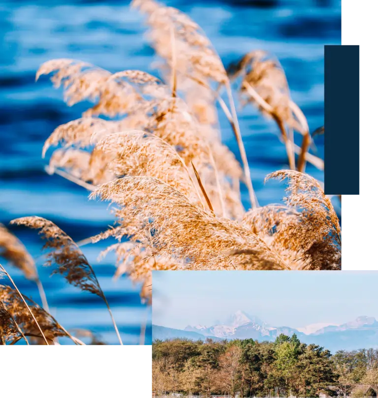 Photos de paysages de Divonne-les-Bains et du Jura